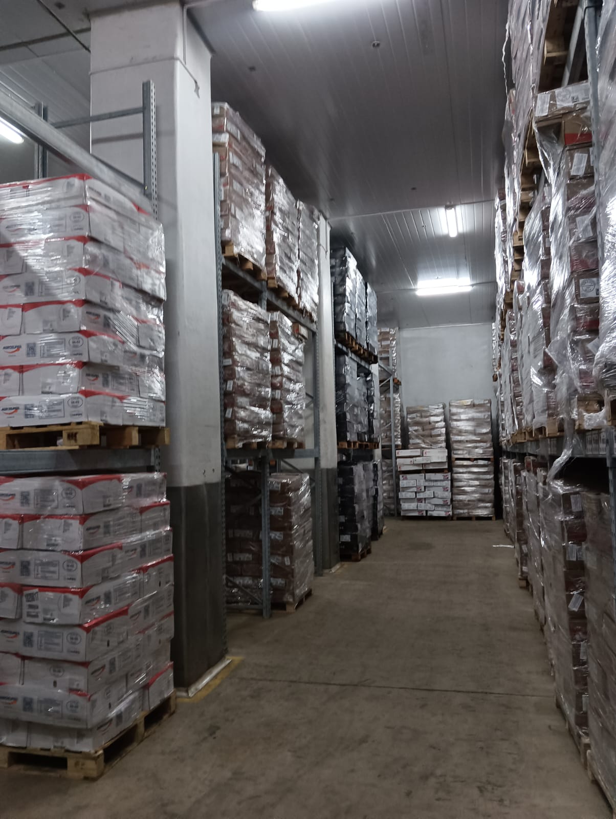 Cámara frigorífica con racking y pallets de productos cárnicos en Frioneto, Constitución, CABA